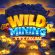 Strike Gold in Wild Mining XXXtreme from NetEnt